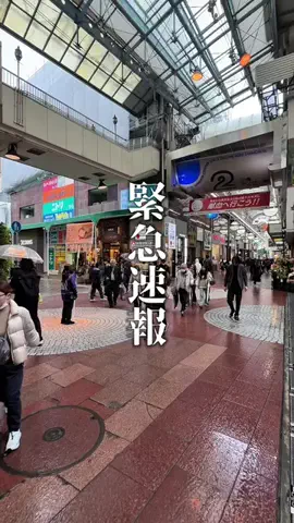 神戸グルメまひろのTikTok投稿