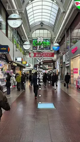 神戸グルメまひろのTikTok投稿