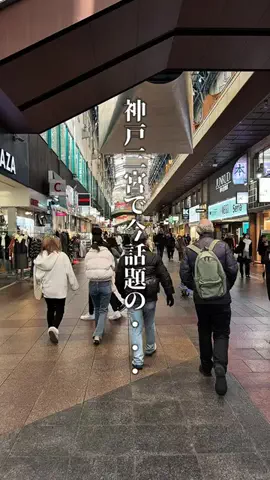 神戸グルメまひろのTikTok投稿