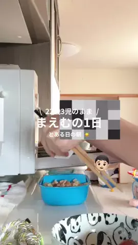 🐰まえむ🐰【マフユーズ】のTikTok投稿