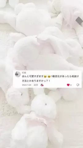 しあにゃんのTikTok投稿