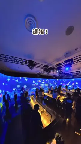 sendai.mamagramのTikTok投稿