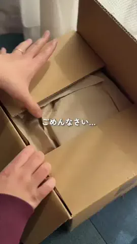 はなのTikTok投稿