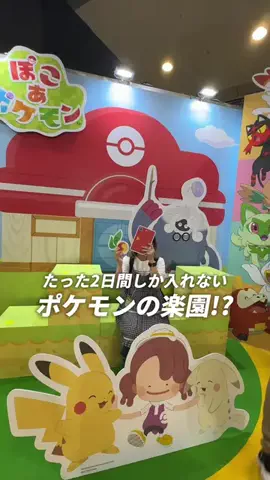 アミノ家(サブ)のTikTok投稿