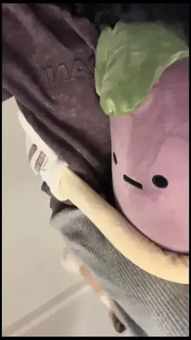 飯塚朱音(しゅおん)のTikTok投稿