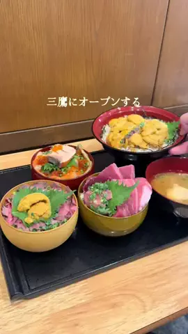 ぱくぱくダイアリーのTikTok投稿
