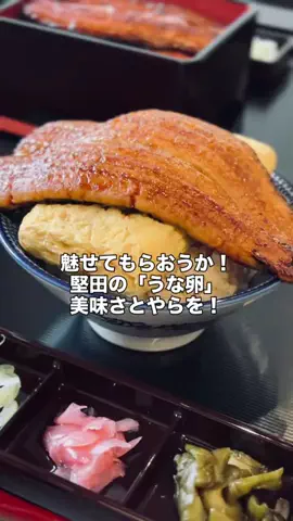 グルメ大佐のTikTok投稿