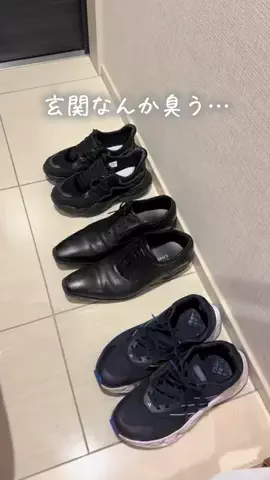 ちょこ￤ いまを大切にする暮らしのTikTok投稿