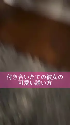 僕らの恋はかくれんぼ。のTikTok投稿