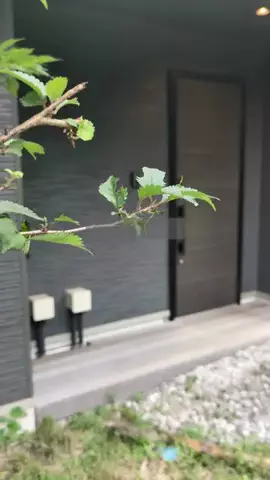 日帰り穴場MAP│東京発のTikTok投稿