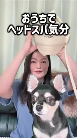 レオンママ🌻🐯｜バズ商品紹介のTikTok投稿