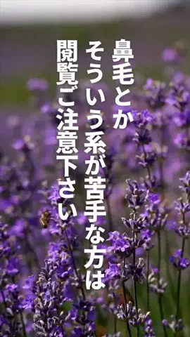 おおみちさんのTikTok PR投稿：体を張るので【必ず】最後まで見てね🙂‍↕️ #pr #tiktoks…