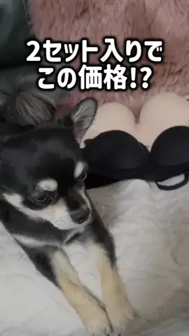 レオンママ🌻🐯｜バズ商品紹介のTikTok投稿