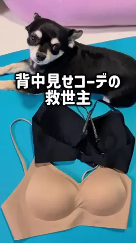 レオンママ🌻🐯｜バズ商品紹介のTikTok投稿