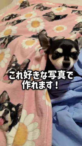レオンママ🌻🐯｜バズ商品紹介のTikTok投稿