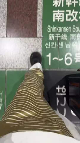 seinoのTikTok投稿