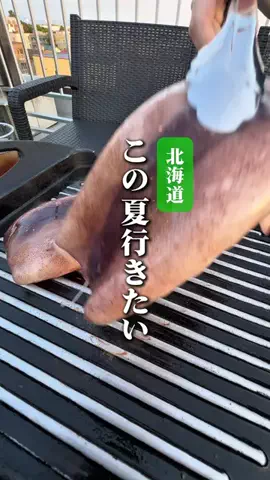 敬 北海道グルメ*🍨🍚のTikTok投稿