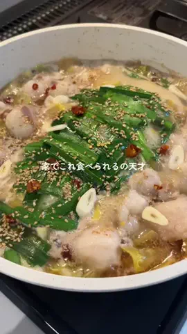 チュモッパのTikTok投稿