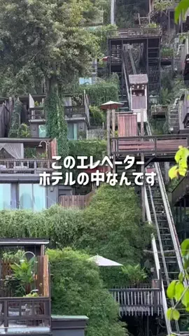 mちゃん|月1週末旅✈︎のTikTok投稿