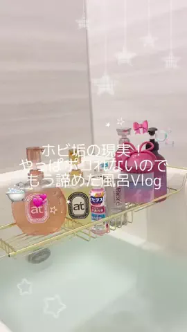ちょろねこさんのTikTok投稿
