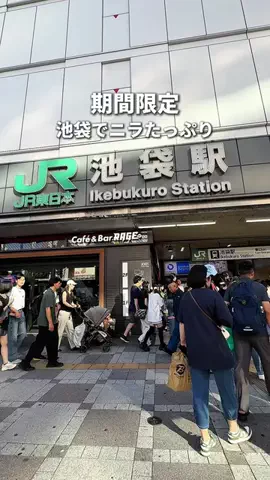 東京ごはんのTikTok投稿