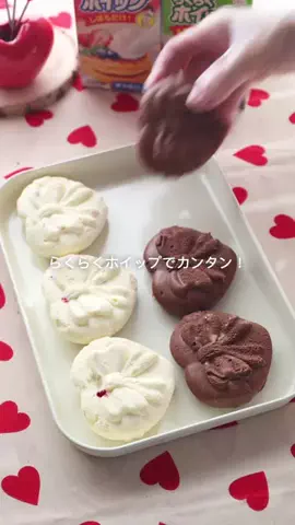 sanaのTikTok投稿