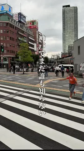 神戸グルメまひろのTikTok投稿