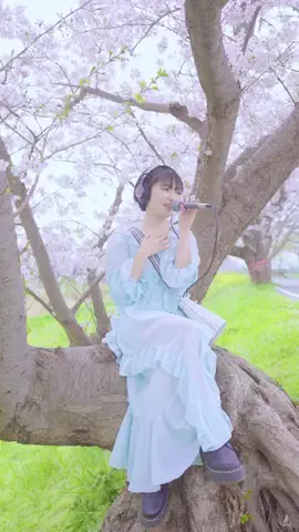 CALENのTikTok投稿