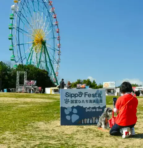 たび先生のTikTok投稿