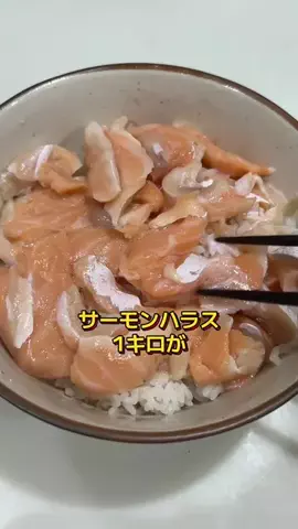 りゅうしんくんのTikTok投稿