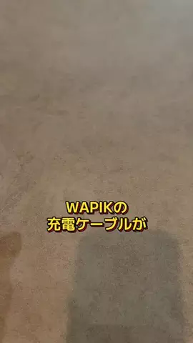 りゅうしんくんのTikTok投稿