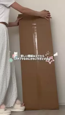 haruのTikTok投稿