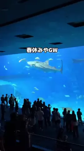 行ってみた｜ホテル紹介のTikTok投稿