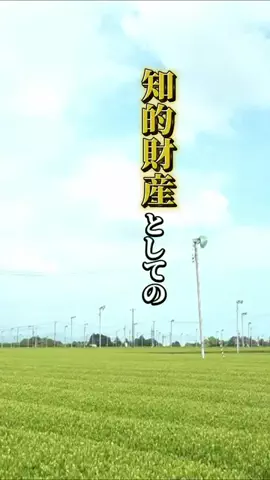 NewsTVのTikTok投稿