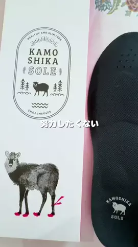 にこねぇセレクト✨厳選商品のTikTok投稿