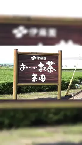 NewsTVのTikTok投稿