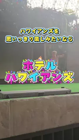 ℂ𝕆ℂ𝕆𝔸のTikTok投稿