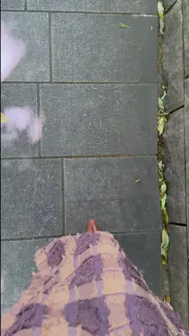 NewsTVのTikTok投稿