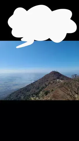 ℂ𝕆ℂ𝕆𝔸のTikTok投稿