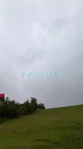 アロはなのTikTok投稿