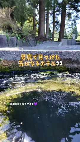 ケロ🐸香川・四国＊子連れおでかけのTikTok投稿
