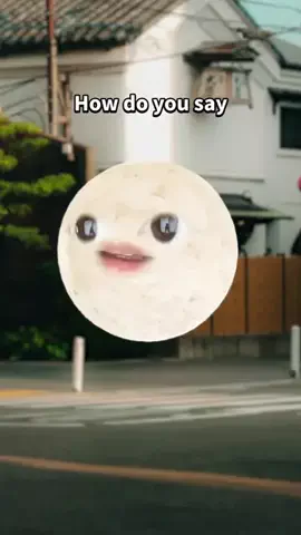 Japanese with Gohan-kunのTikTok投稿