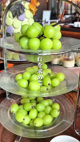 銀座グルメ・カフェのTikTok投稿