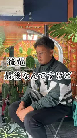 社長の友達のTikTok投稿