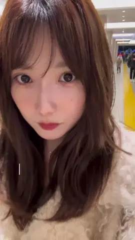 ただの毎日のTikTok投稿