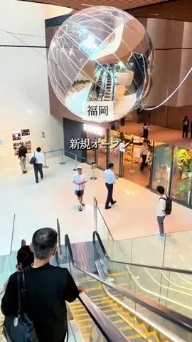 koie_no_gurumeのTikTok投稿