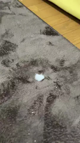 noaのTikTok投稿