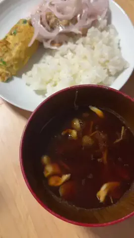 ぽぽのTikTok投稿