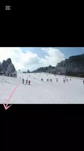 おでかけライフのTikTok投稿
