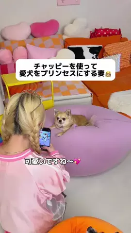 ゆたせなcpのTikTok投稿